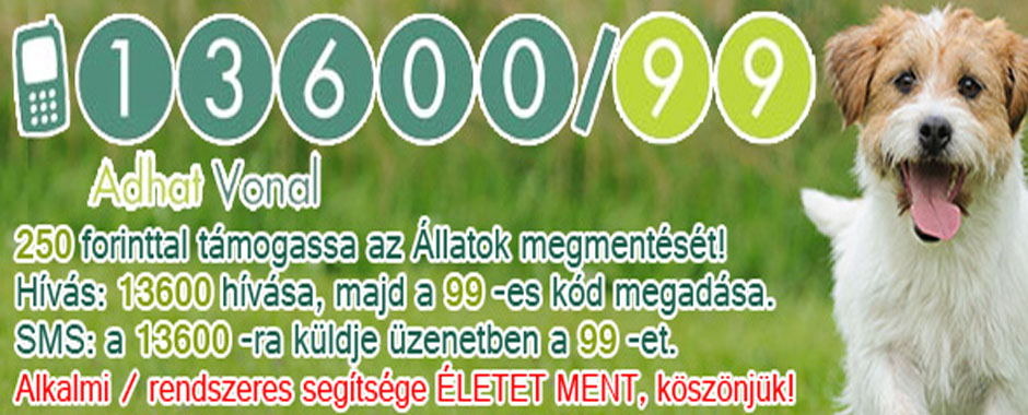 kutya macska állatmenhely örökbe fogadhatók adóbevalláskor adó 1 felajánlás