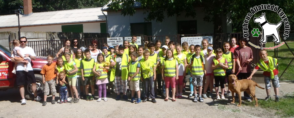 kutya macskák állatmenhely örökbefogadása adóbevalláskor adó 1 százalék