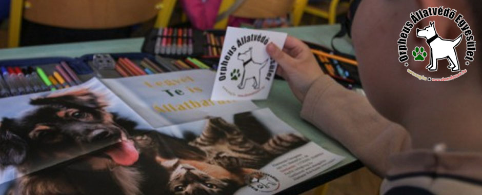 állatmenhely macskamentés adóbevalláskor 1 százalékkal